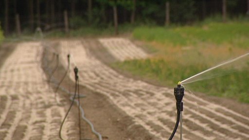 Česko trápí velké sucho.