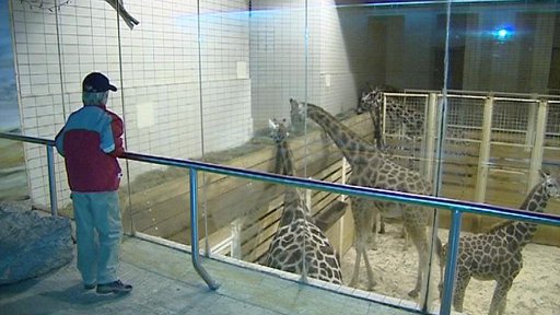 Banky nemají zájem Liberci půjčit