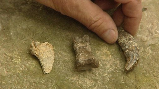 Unikátní nálezy v krkonošské Medvědí jeskyni