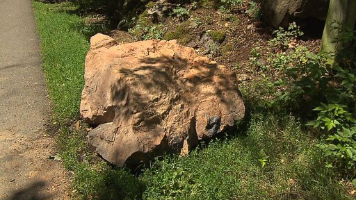 Sesuv kamení ze skály v Šáreckém údolí v Praze