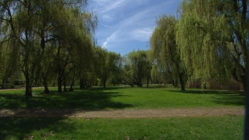 Revitalizace pardubického parku opět v ohrožení