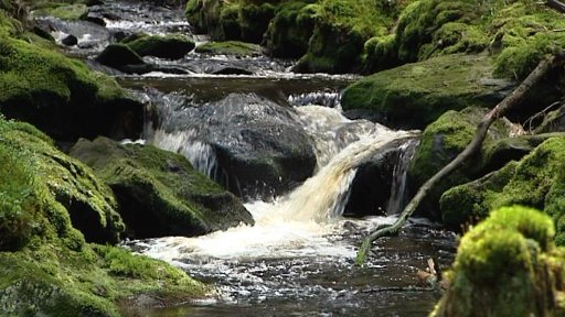 Nová naučná stezka na Modravě