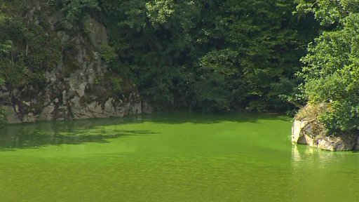 Vodu v Orlické přehradě zlepší nové čistírny odpadních vod