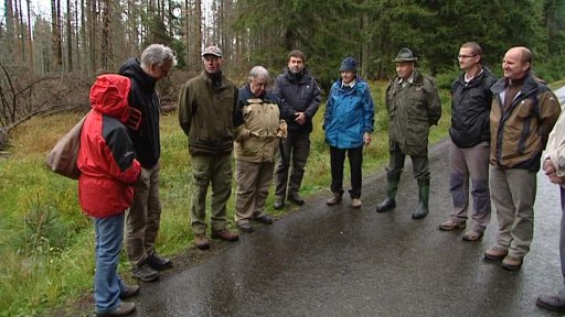 Situaci na Šumavě řeší Evropská komise