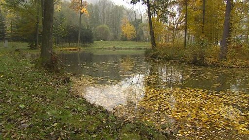 Maloskalští rybáři válčí s úřadem kvůli stavbě rybníka