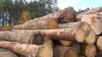 Dřevo ze Šumavy je k dostání na internetu