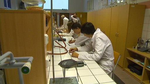 Výročí školy Schola humanitas v Litvínově