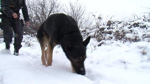 Příběh policejního psa