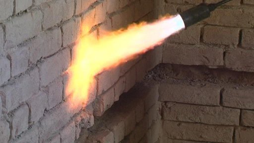 Dřevomorka ničí lysický zámek