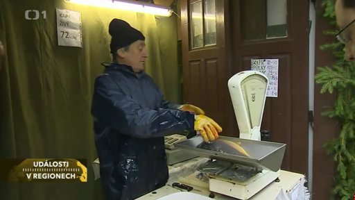 V Jihlavě se dnes inspektoři ČOI zaměřili na prodej vánočních stromků a kaprů