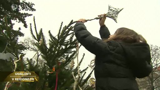 Soutěž zdobení stromků