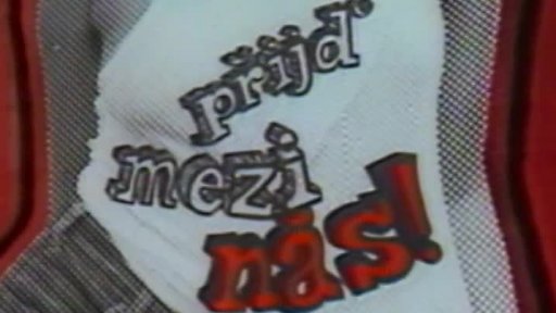 Socialistické výlohy