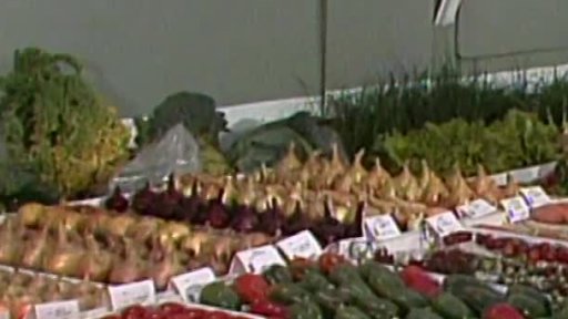 Zahrada Čech v Litoměřicích