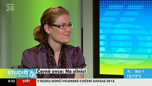 Černé ovce na silnici