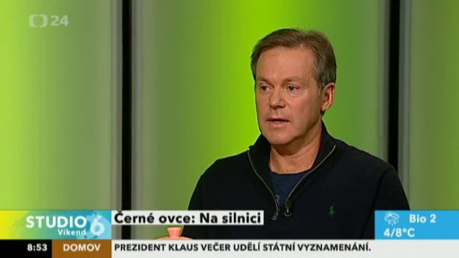 Černé ovce na silnici
