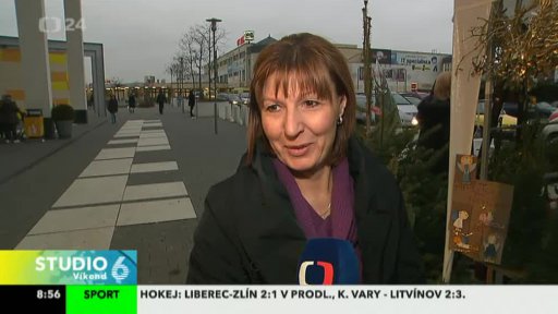 Prodej Vánočních stromků