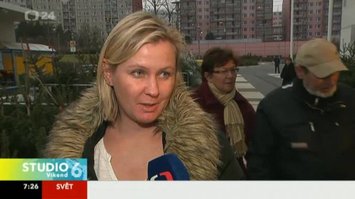 Nákup Vánočních stromků