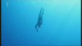 Freediving