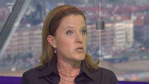 Karolína Peake /LIDEM/i; František Bublan /ČSSD/; Erik Best