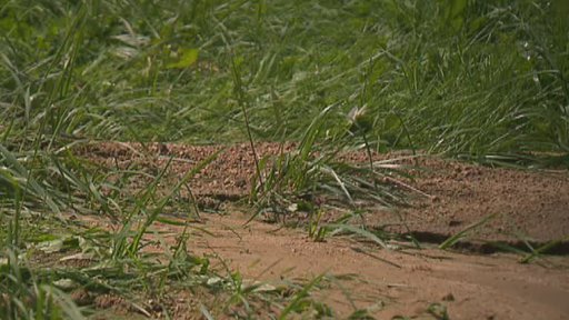 Stav zemědělské půdy v ČR se zhoršuje