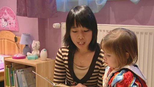 Cizinci v českých domácnostech