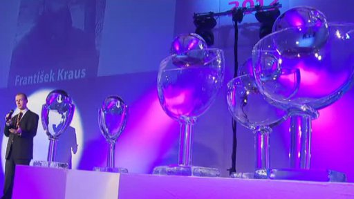 Projektový manažer roku