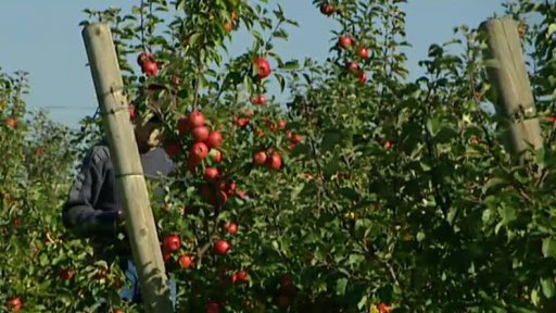 Ekonomické aktuality