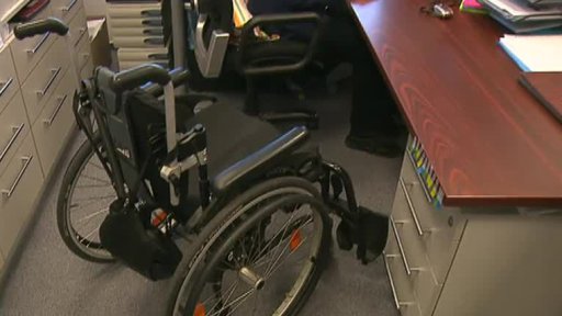 Na plný úvazek navzdory handicapu