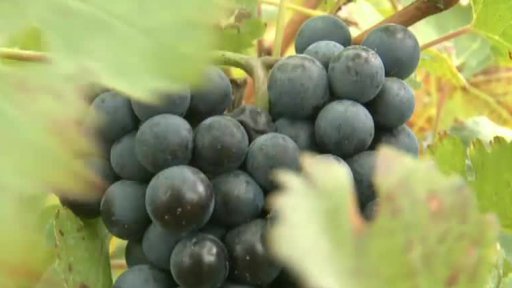 Ekonomické aktuality