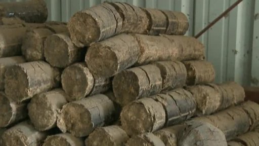 Mexiko přichází na chuť biopalivům