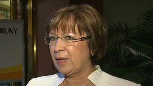 Češi nemají zájem o druhý penzijní pilíř