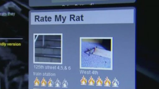 New York soutěží o krysu