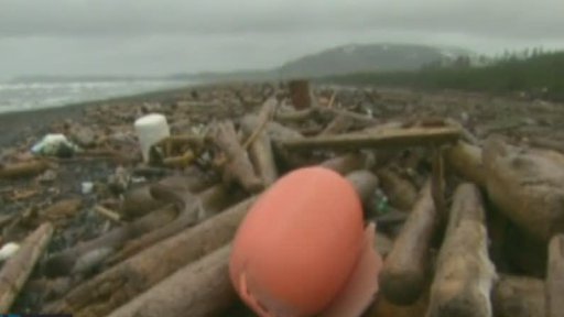 Dědictví jaderné katastrofy