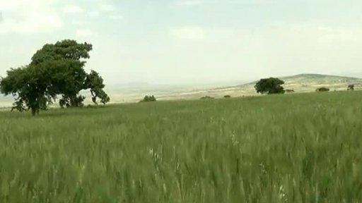 Potraviny pro všechny