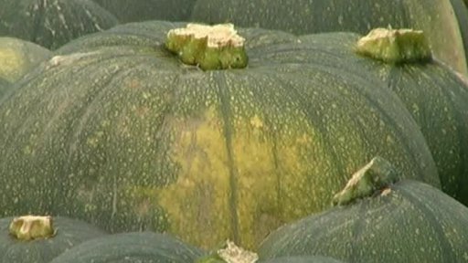 Velká Británie: Halloween v krizi