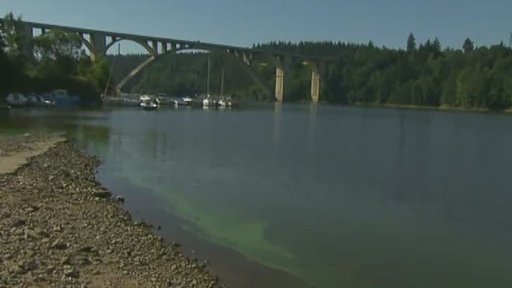 Kvalita vody ve volné přírodě