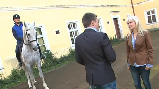 Obnova kladrubského hřebčína