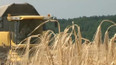 Ukrajina přestává vyvážet pšenici