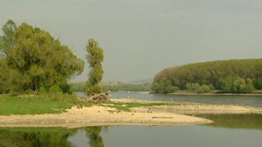 Evropské univerzity: péče o Dunaj