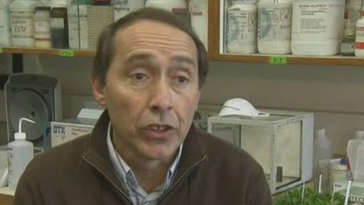 Tabák prospívá zdraví