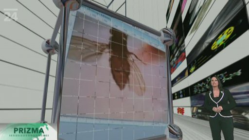 Samečci octomilek pijí alkohol