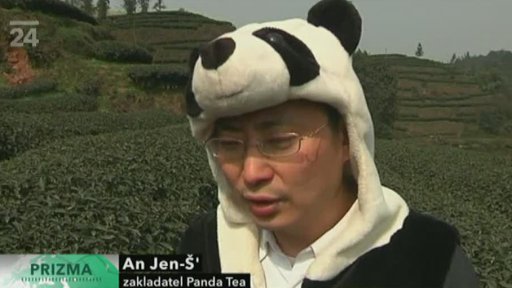 Čaj hnojený trusem pandy velké