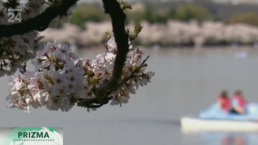 Velkoměsta mění počasí