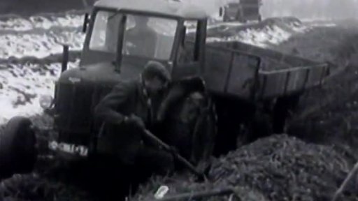 Nejlepší statek (1951)