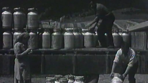 Vykupovači mléka (1956)