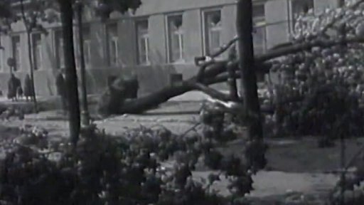 Brno: následky větrné smršti (1957)