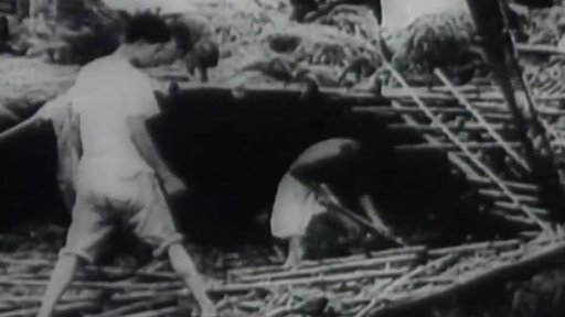 Havaj a Tchaj-wan: uragán (1959)