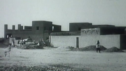 Sahara: katastrofální sucho (1973)