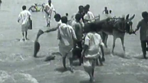 Pákistán: záplavy (1973)