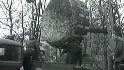 Stěhování třicetiletých stromů (1955)